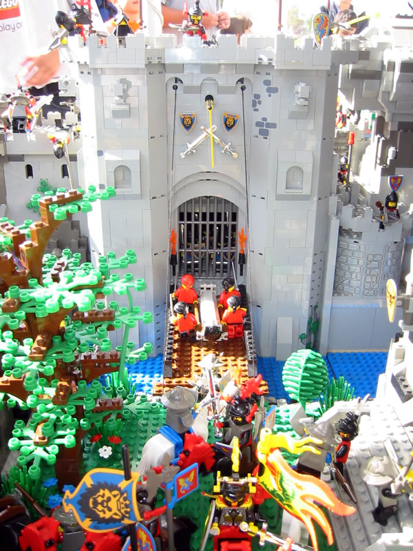 vlc-dave-73.jpg